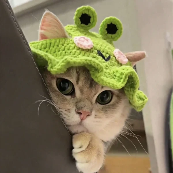 handmade frog knitted pet hat
