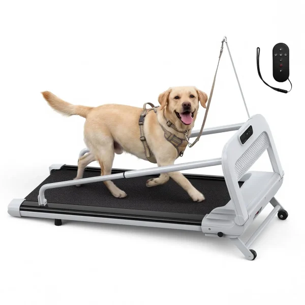 Quiet Indoor Dog Treadmill with Remote Control